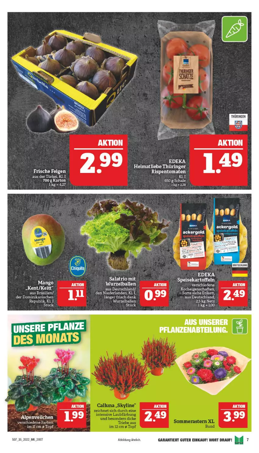 Aktueller Prospekt Marktkauf - Prospekt - von 28.08 bis 03.09.2022 - strona 11 - produkty: ball, deka, mango, ring, salat, Schal, Schale, tee, Ti