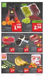 Gazetka promocyjna Marktkauf - Prospekt - Gazetka - ważna od 03.09 do 03.09.2022 - strona 10 - produkty: banane, bananen, beere, beeren, deka, eier, himbeer, himbeere, himbeeren, mandarine, mandarinen, regal, tafeläpfel, tafeltrauben, Ti, trauben, Yo, zucchini