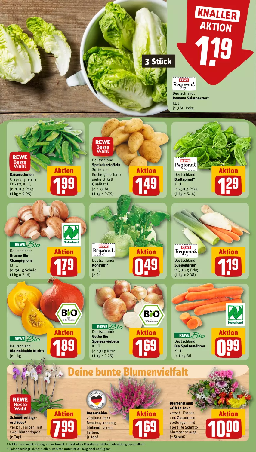 Aktueller Prospekt Rewe - Prospekte - von 09.09 bis 14.09.2024 - strona 5 - produkty: bio, blattspinat, blume, blumen, Blumenstrauß, Blüte, braun, champignon, champignons, eis, Kaiser, kartoffel, kartoffeln, kohlrabi, Kürbis, Mett, möhren, orchidee, salat, salatherzen, Schal, Schale, Schmetterling, schmetterlingsorchidee, speisekartoffeln, speisemöhren, Speisezwiebeln, spinat, suppe, suppen, Ti, topf, zwiebel, zwiebeln