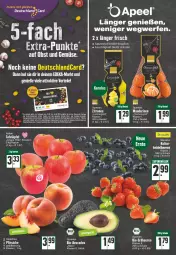 Gazetka promocyjna Edeka - Angebote der Woche - Gazetka - ważna od 26.02 do 26.02.2022 - strona 2 - produkty: beere, beeren, coupon, coupons, deka, deutschlandcard, eis, fleisch, heidelbeere, heidelbeeren, Konserven, LG, mandarine, mandarinen, obst, pfirsich, pfirsiche, Schal, Schale, tafeläpfel, tee, Ti, uhr, und gemüse, zitrone, zitronen