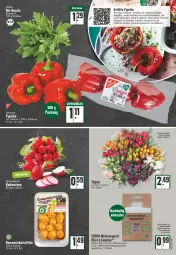Gazetka promocyjna Edeka - Angebote der Woche - Gazetka - ważna od 26.02 do 26.02.2022 - strona 5 - produkty: angebot, bio, blume, blumen, Clin, cola, deka, eis, fleisch, frucht, hackfleisch, kartoffel, kartoffeln, obst, paprika, paprika rot, radieschen, rezept, rosmarin, rucola, rwe, saft, Schal, Schale, Ti, tisch, uhr