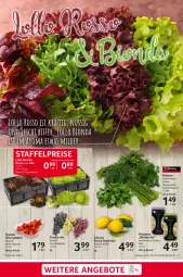 Gazetka promocyjna Selgros - Food - Gazetka - ważna od 08.05 do 08.05.2024 - strona 3 - produkty: angebot, angebote, beutel, bio, dell, eis, kräuter, pistazien, reis, Ria, Schal, Schale, Ti, tomate, zitrone