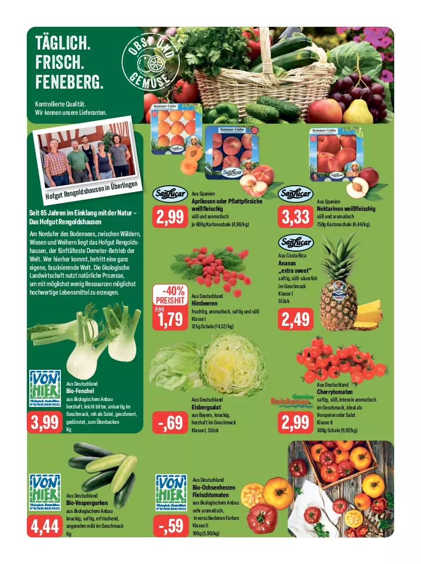 Aktueller Prospekt Feneberg - Prospekte - von 13.07 bis 15.07.2023 - strona 6 - produkty: ananas, aprikose, aprikosen, Bau, beere, beeren, bio, cherrytomaten, eis, eisbergsalat, fenchel, fleisch, frucht, gurke, gurken, himbeer, himbeere, himbeeren, hofgut, lebensmittel, mac, natur, Nektar, nektarinen, pfirsich, pfirsiche, reis, saft, salat, Schal, Schale, Ti, tisch, tomate, tomaten, trolli, vorspeise