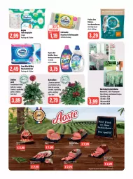 Gazetka promocyjna Feneberg - Prospekte - Gazetka - ważna od 15.07 do 15.07.2023 - strona 14 - produkty: baguette, Baguette-Salami, beutel, chili, cottonelle, dahlie, decke, eis, elle, feuchtes toilettenpapier, fleisch, gin, haushaltstücher, hot chili, kräuter, LG, papier, purina, reis, Ria, ring, salami, schinken, schwein, schweine, schweinefleisch, spee, Ti, toilettenpapier, topf, Trockennahrung, tuc, tücher, vollwaschmittel, wachstuch, waschmittel, wein, weine, zewa