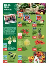 Gazetka promocyjna Feneberg - Prospekte - Gazetka - ważna od 15.07 do 15.07.2023 - strona 6 - produkty: ananas, aprikose, aprikosen, Bau, beere, beeren, bio, cherrytomaten, eis, eisbergsalat, fenchel, fleisch, frucht, gurke, gurken, himbeer, himbeere, himbeeren, hofgut, lebensmittel, mac, natur, Nektar, nektarinen, pfirsich, pfirsiche, reis, saft, salat, Schal, Schale, Ti, tisch, tomate, tomaten, trolli, vorspeise