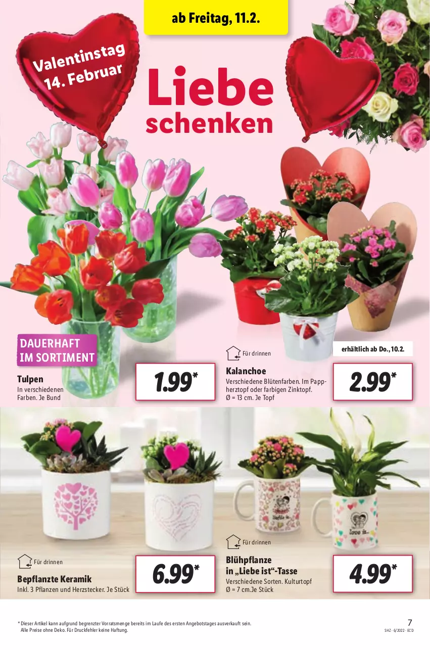 Aktueller Prospekt Lidl - Aktionsprospekt - von 07.02 bis 12.02.2022 - strona 7 - produkty: angebot, auer, Blüte, eis, HP, Kalanchoe, kulturtopf, pflanze, pflanzen, reis, tasse, Ti, topf, ZTE