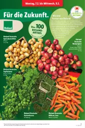 Gazetka promocyjna Lidl - Aktionsprospekt - Gazetka - ważna od 12.02 do 12.02.2022 - strona 11 - produkty: angebot, bio, bioland, eis, ente, Garten, Gartenkresse, kartoffel, kartoffeln, kräuter, lebensmittel, möhren, reis, speisekartoffeln, Ti, topf, Topfkräuter, ZTE