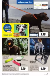 Gazetka promocyjna Lidl - Aktionsprospekt - Gazetka - ważna od 12.02 do 12.02.2022 - strona 33 - produkty: akku, angebot, auer, ball, Bau, dell, eis, elle, ente, geschirr, korb, kraft, Leuchte, leuchten, Mode, reis, Schal, Spiele, spielzeug, Ti, Tiere, usb, ZTE