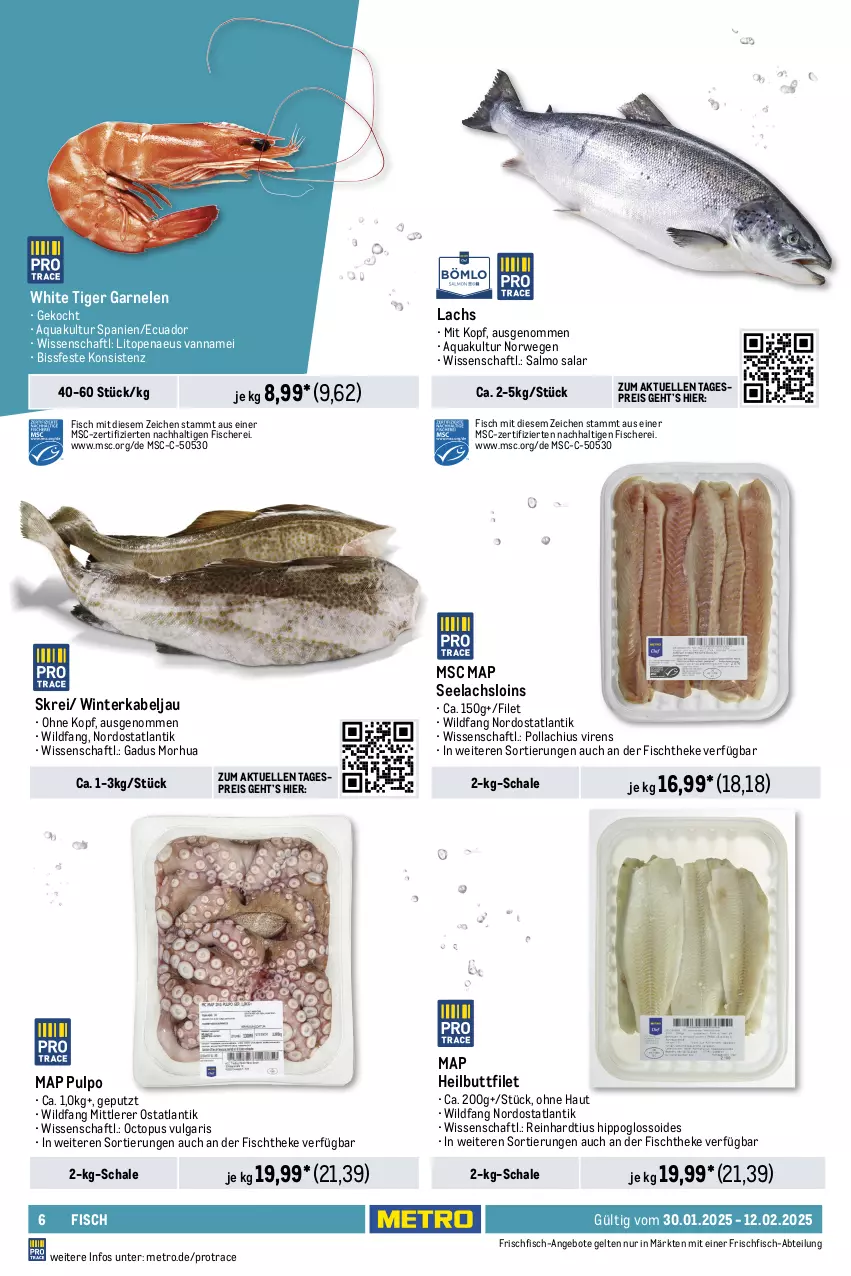 Aktueller Prospekt Metro - GastroJournal - von 30.01 bis 12.02.2025 - strona 6 - produkty: Abtei, angebot, angebote, aqua, Becher, beutel, eis, elle, escal, filet, fisch, fische, Fischer, fischtheke, frischfisch, frutti di mare, garnelen, Heilbuttfilet, hipp, lachs, lack, LG, Metro, Muscheln, reis, rwe, Schal, Schale, Schere, teppich, Ti, Waage, wasser, Wild, Zander