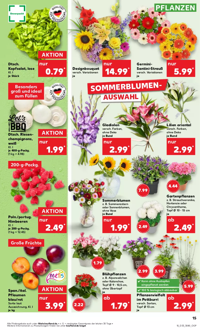 Aktueller Prospekt Kaufland - Prospekt - von 15.08 bis 21.08.2024 - strona 15 - produkty: Abba, Alpenveilchen, angebot, angebote, aust, Bau, beere, beeren, bio, blume, blumen, champignon, champignons, eis, erde, früchte, Garten, Gartenpflanze, Germ, Gladiolen, himbeer, himbeere, himbeeren, hortensie, HP, Kalanchoe, kopfsalat, pflanze, pflanzen, pflaume, pflaumen, Rauch, reis, Ria, salat, sonnenblume, sonnenblumen, Ti, topf, Topfen, übertopf, Vase, ZTE