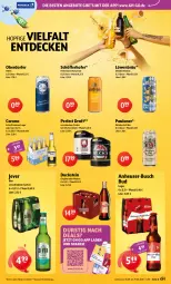 Gazetka promocyjna Getraenke Hoffmann - Prospekte - Gazetka - ważna od 19.09 do 19.09.2026 - strona 6 - produkty: angebot, angebote, bier, corona, corona extra, decke, Duck, eis, elle, gin, Hefe, hefeweizen, Heu, jever, natur, Paula, paulaner, schöfferhofer, Ti