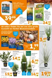 Gazetka promocyjna  - Gazetka - ważna od 19.09 do 19.09.2026 - strona 4 - produkty: asus, Bau, beispielabbildung, beutel, blume, blumen, dünger, eis, elle, gin, kirsch, kraft, Kraut, rasen, rasendünger, Ria, Ti, topf, vita, wasser, zwiebel, zwiebeln