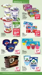 Gazetka promocyjna Wasgau - Gazetka - ważna od 24.02 do 24.02.2024 - strona 12 - produkty: actimel, angebot, arla, arla skyr, auer, Bau, Bauer, Becher, danone, danone fruchtzwerge, Dr. Oetker, eis, feinjoghurt, frucht, fruchtjoghurt, fruchtzwerge, joghur, joghurt, Knackige Mousse, marmorette, mousse, mövenpick, natur, nestlé, Paula, paula pudding, pudding, reis, ring, Skyr, Ti