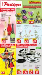 Gazetka promocyjna Thomas Philipps - Prospektwerbung - Gazetka - ważna od 11.02 do 11.02.2023 - strona 1 - produkty: apfel, Becher, beere, beeren, blume, blumen, Blüte, cocktail, dessert, Dessertteller, eis, elle, ente, frucht, geschirr, kaffee, kaffeebecher, Kätzchen, müsli, Müslischale, Narzissen, Primeln, reis, Schal, Schale, suppe, suppen, teller, Ti, topf, wein, zwiebel