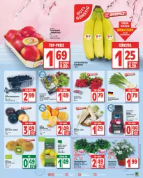 Gazetka promocyjna Edeka - Angebote der Woche - Gazetka - ważna od 01.04 do 01.04.2023 - strona 3 - produkty: ball, banane, bananen, beere, beeren, bio, deit, deka, edeka bio, eis, kiwi, Lauchzwiebel, lauchzwiebeln, mandarine, mandarinen, natur, natura, perlen, radieschen, reis, Rettich, salat, Schal, Schale, tafeläpfel, Ti, topf, zitrone, zitronen, ZTE, zwiebel, zwiebeln