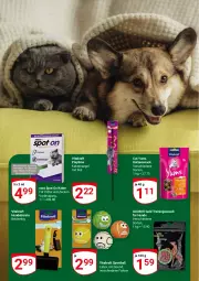 Gazetka promocyjna Globus - Prospekte - Gazetka - ważna od 01.04 do 01.04.2023 - strona 4 - produkty: ball, bio, biozidprodukte, bürste, katzensnack, kraft, Rauch, rwe, snack, Sport, Ti, vita, vitakraft