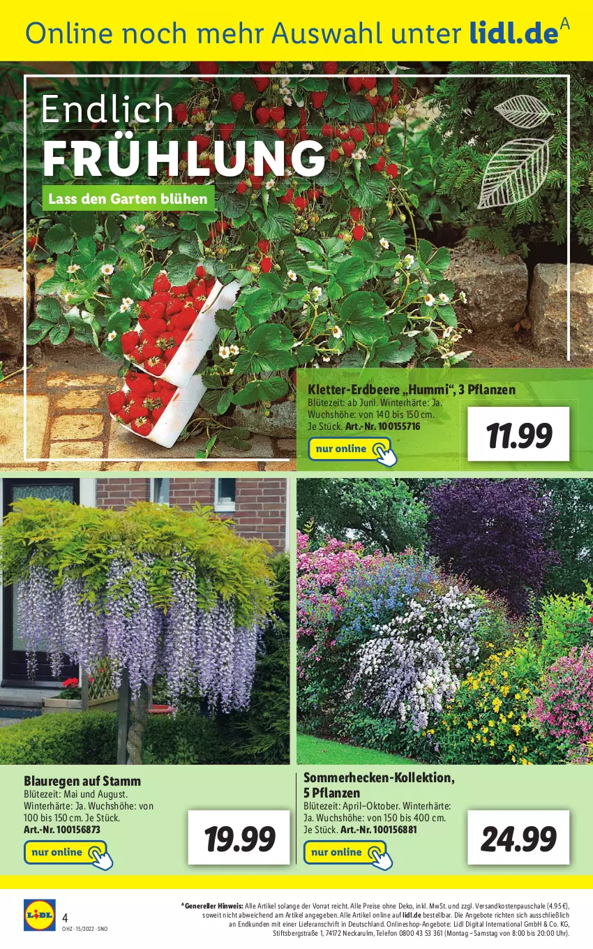 Aktueller Prospekt Lidl - Wochen-Highlights im Onlineshop - von 11.04 bis 17.04.2022 - strona 4 - produkty: angebot, angebote, beere, Blüte, eis, elle, erdbeere, Garten, ndk, pril, reis, rel, Schal, Schale, telefon, Ti, uhr