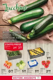 Gazetka promocyjna Selgros - Food - Gazetka - ważna od 21.02 do 21.02.2024 - strona 3 - produkty: champignon, champignons, eis, grapefruit, paprika, paprika rot, reis, salat, Schal, Schale, Ti, zitrone