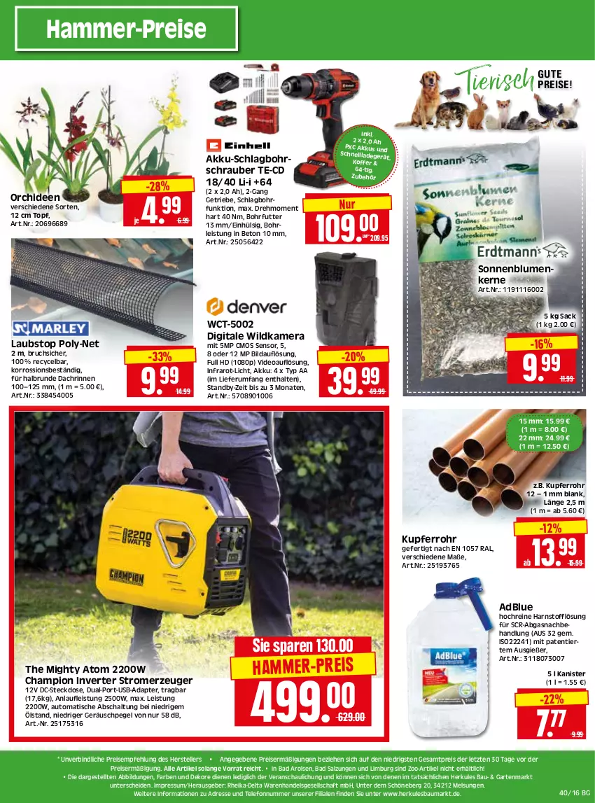 Aktueller Prospekt Edeka - Angebote der Woche - von 02.10 bis 07.10.2023 - strona 36 - produkty: adapter, adblue, akku, Akku-Schlagbohrschrauber, auto, Bad, Bau, blume, blumen, Bohrschrauber, champion, deo, eis, elle, Garten, hammer-preis, Herkules, HP, kamera, koffer, LG, olsen, orchidee, orchideen, reis, rum, sac, salz, Schal, sonnenblume, sonnenblumen, Sonnenblumenkerne, steckdose, Stromerzeuger, telefon, teller, Ti, tisch, topf, usb, Wild, Wildkamera, ZTE