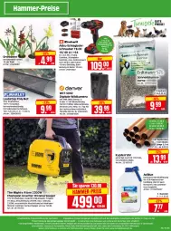 Gazetka promocyjna Edeka - Angebote der Woche - Gazetka - ważna od 07.10 do 07.10.2023 - strona 36 - produkty: adapter, adblue, akku, Akku-Schlagbohrschrauber, auto, Bad, Bau, blume, blumen, Bohrschrauber, champion, deo, eis, elle, Garten, hammer-preis, Herkules, HP, kamera, koffer, LG, olsen, orchidee, orchideen, reis, rum, sac, salz, Schal, sonnenblume, sonnenblumen, Sonnenblumenkerne, steckdose, Stromerzeuger, telefon, teller, Ti, tisch, topf, usb, Wild, Wildkamera, ZTE