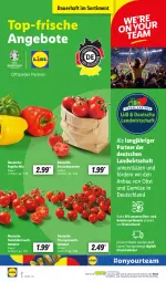 Gazetka promocyjna Lidl - Aktionsprospekt - Gazetka - ważna od 29.06 do 29.06.2024 - strona 2 - produkty: angebot, angebote, auer, Bau, cocktail, cocktails, erde, ndk, obst, Obst und Gemüse, paprika, paprika mix, Rauch, Schal, Schale, Sport, strauchtomaten, Ti, tomate, tomaten, und gemüse