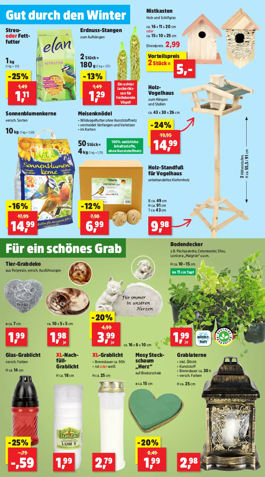 Aktueller Prospekt Thomas Philipps - von 07.10 bis 14.10.2024 - strona 2 - produkty: auer, bio, blume, blumen, decke, eis, elle, erdnuss, Holz, Hysan, Knödel, laterne, LG, Meisenknödel, nuss, reis, Schal, Schale, sonnenblume, sonnenblumen, Sonnenblumenkerne, Steckschaum, Ti, topf, Vogelfutter, vorteilspreis, Wild