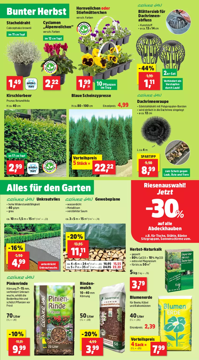 Aktueller Prospekt Thomas Philipps - von 07.10 bis 14.10.2024 - strona 3 - produkty: abdeckhaube, Alpenveilchen, blume, blumen, blumenerde, Draht, edelstahl, eis, erde, Garten, Gewebeplane, heinz, kirsch, Kraut, magnesium, natur, pflanze, pflanzen, reis, rind, rindenmulch, sac, schirme, sonnenschirm, spartipp, Stühl, Ti, Tiere, tisch, topf, Topfen, vorteilspreis, wasser