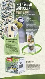 Gazetka promocyjna Famila - Prospekte - Gazetka - ważna od 26.10 do 26.10.2024 - strona 2 - produkty: blume, blumen, eis, elle, erdnüsse, erdnüssen, Garten, leine, mac, ring, rwe, Soda, sonnenblume, sonnenblumen, Sonnenblumenkerne, sonnenblumenkernen, specht, Ti, Tiere, tisch, Wild