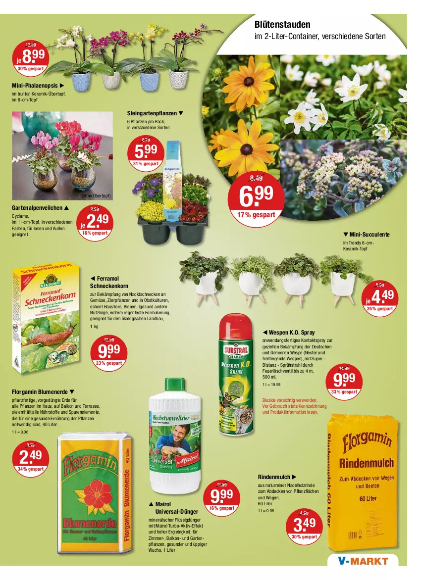 Aktueller Prospekt Vmarkt - V-Markt - von 04.08 bis 10.08.2022 - strona 21 - produkty: Alpenveilchen, aust, Bau, bio, blume, blumen, blumenerde, Blüte, Blütenstauden, Container, decke, dünger, ente, erde, ferramol schneckenkorn, flüssigdünger, Garten, Gartenpflanze, Holz, korn, Liege, natur, obst, pflanze, pflanzen, phalaenopsis, Rauch, rind, rindenmulch, rwe, schneckenkorn, stauden, Stier, Ti, Tiere, topf, übertopf