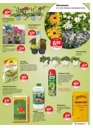 Gazetka promocyjna Vmarkt - V-Markt - Gazetka - ważna od 10.08 do 10.08.2022 - strona 21 - produkty: Alpenveilchen, aust, Bau, bio, blume, blumen, blumenerde, Blüte, Blütenstauden, Container, decke, dünger, ente, erde, ferramol schneckenkorn, flüssigdünger, Garten, Gartenpflanze, Holz, korn, Liege, natur, obst, pflanze, pflanzen, phalaenopsis, Rauch, rind, rindenmulch, rwe, schneckenkorn, stauden, Stier, Ti, Tiere, topf, übertopf