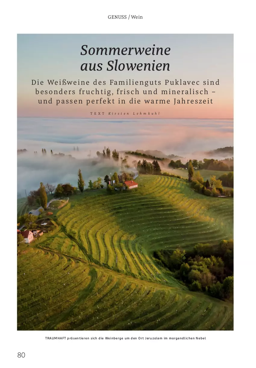 Aktueller Prospekt Rossmann - Prospekte - von 06.05 bis 28.07.2024 - strona 80 - produkty: frucht, nuss, rwe, Ti, Tiere, wein, weine