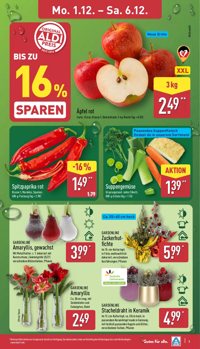 Aktueller Prospekt Aldi Nord - Von Montag - von 01.12 bis 06.12.2025 - strona 3 - produkty: beutel, Blüte, Draht, eis, fleisch, Germ, gin, Kugel, kulturtopf, LG, paprika, paprika rot, pflanze, Schal, Schale, Spitzpaprika, suppe, suppen, suppenfleisch, Ti, topf, Vase, ZTE, zucker, zwiebel