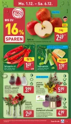 Gazetka promocyjna Aldi Nord - Von Montag - Gazetka - ważna od 06.12 do 06.12.2025 - strona 3 - produkty: beutel, Blüte, Draht, eis, fleisch, Germ, gin, Kugel, kulturtopf, LG, paprika, paprika rot, pflanze, Schal, Schale, Spitzpaprika, suppe, suppen, suppenfleisch, Ti, topf, Vase, ZTE, zucker, zwiebel