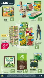Gazetka promocyjna Netto - Woche 2 - Gazetka - ważna od 14.01 do 14.01.2023 - strona 14 - produkty: auer, basilikum, beutel, boss, eis, erde, Garten, Gartenschere, kräuter, Kürbis, reis, Schere, Ti, ZTE