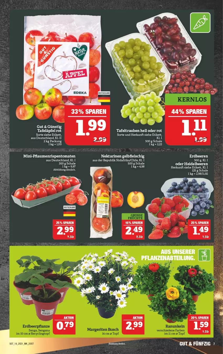 Aktueller Prospekt Marktkauf - Prospekt - von 05.04 bis 10.04.2021 - strona 11 - produkty: Abtei, eis, fleisch, Nektar, nektarinen, pflanze, pflanzen, pflaume, pflaumen, rel, rispentomaten, Schal, Schale, tafeläpfel, tee, Ti, tomate, tomaten