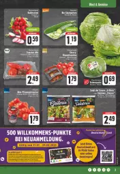 Gazetka promocyjna Edeka - Angebote der Woche - Gazetka - ważna od 05.08 do 05.08.2023 - strona 3 - produkty: aktionspreis, Becher, bio, eier, eis, eisbergsalat, gurke, gurken, nexa, obst, pflaume, pflaumen, radieschen, reis, rispentomaten, salat, Salatgurke, salatgurken, Schal, Schale, Ti, tomate, tomaten