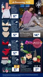 Gazetka promocyjna AldiSud - ALDI Aktuell - Gazetka - ważna od 18.12 do 18.12.2021 - strona 33 - produkty: alle artikel ohne dekoration, Anzug, Bau, baumwolle, bio, dekoration, dell, eis, elle, , gardenline®, gin, kleid, Kleidung, korb, Mode, Pants, pflanze, pflanzen, Retropants, Ria, rwe, Schal, Schale, Schlafanzug, slip, slips, tee, Ti, Unterwäsche, Wichtel, wolle, ZTE