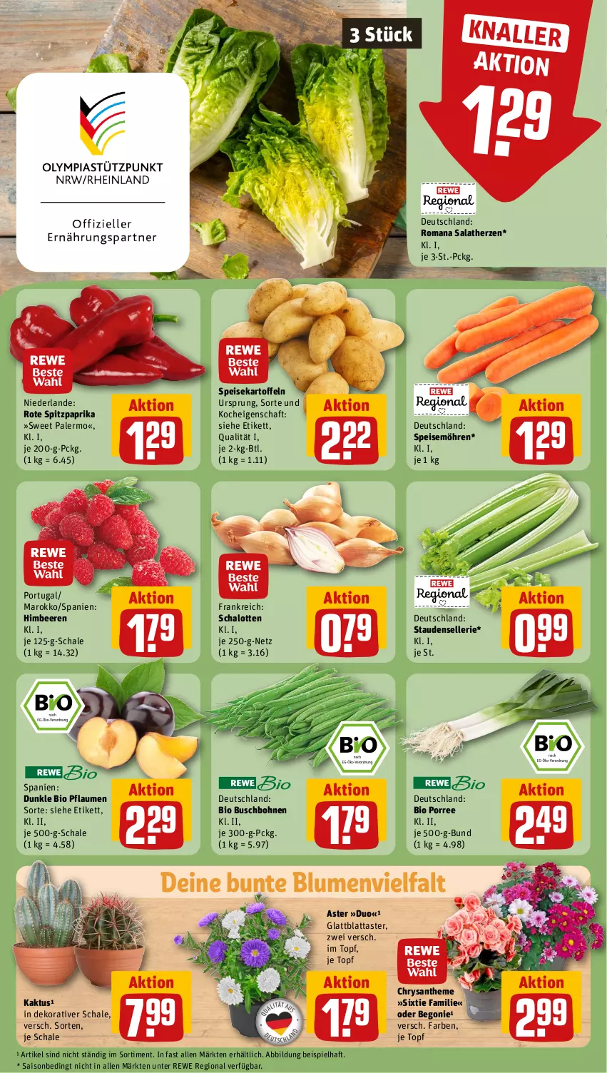 Aktueller Prospekt Rewe - Prospekte - von 05.08 bis 10.08.2024 - strona 11 - produkty: beere, beeren, Begonie, bio, blume, blumen, bohne, bohnen, Buschbohnen, eis, elle, himbeer, himbeere, himbeeren, kartoffel, kartoffeln, möhren, paprika, pflaume, pflaumen, salat, salatherzen, Schal, Schale, Schalotte, speisekartoffeln, speisemöhren, Spitzpaprika, stauden, Ti, topf