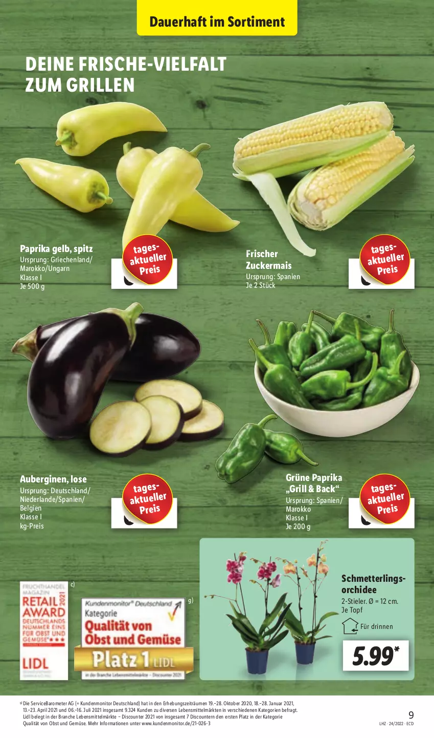 Aktueller Prospekt Lidl - Aktionsprospekt - von 13.06 bis 18.06.2022 - strona 9 - produkty: aubergine, auberginen, auer, discount, eis, elle, gin, grill, lebensmittel, LG, mais, Mett, monitor, obst, Obst und Gemüse, orchidee, paprika, pril, reis, Schmetterling, Ti, topf, und gemüse, zucker, zuckermais