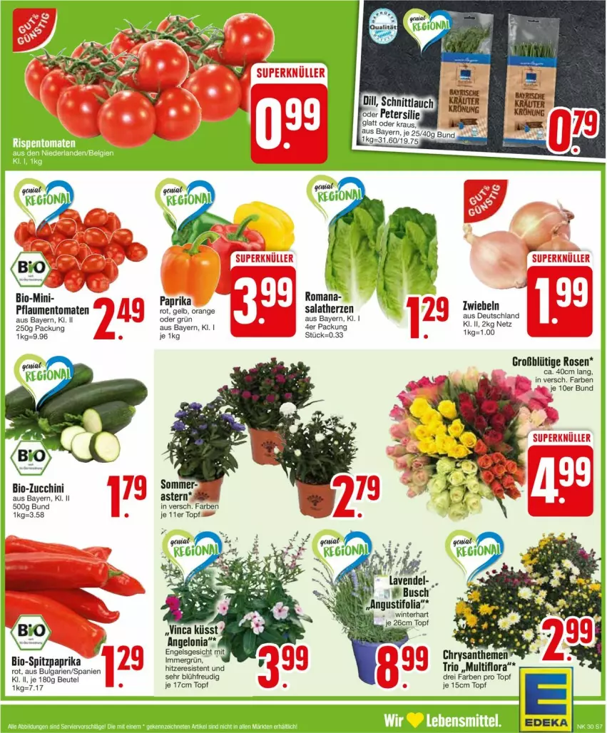 Aktueller Prospekt Edeka - Prospekte - von 22.07 bis 27.07.2024 - strona 7 - produkty: beutel, bio, bio-zucchini, Engel, lebensmittel, LG, orange, paprika, paprika rot, pflaume, pflaumen, rosen, salat, salatherzen, Spitzpaprika, Ti, tomate, tomaten, topf, zucchini, zwiebel, zwiebeln