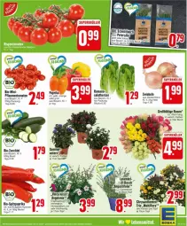 Gazetka promocyjna Edeka - Prospekte - Gazetka - ważna od 27.07 do 27.07.2024 - strona 7 - produkty: beutel, bio, bio-zucchini, Engel, lebensmittel, LG, orange, paprika, paprika rot, pflaume, pflaumen, rosen, salat, salatherzen, Spitzpaprika, Ti, tomate, tomaten, topf, zucchini, zwiebel, zwiebeln