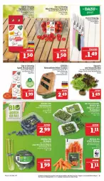 Gazetka promocyjna Marktkauf - Prospekt - Gazetka - ważna od 04.02 do 04.02.2023 - strona 9 - produkty: ball, deka, eis, gurke, gurken, kartoffel, kartoffeln, LG, mandarine, mandarinen, messer, mini-gurken, pflaume, pflaumen, Pflaumen-Tomaten, reis, salat, Schal, Schale, speisekartoffeln, Ti, tomate, tomaten, ZTE