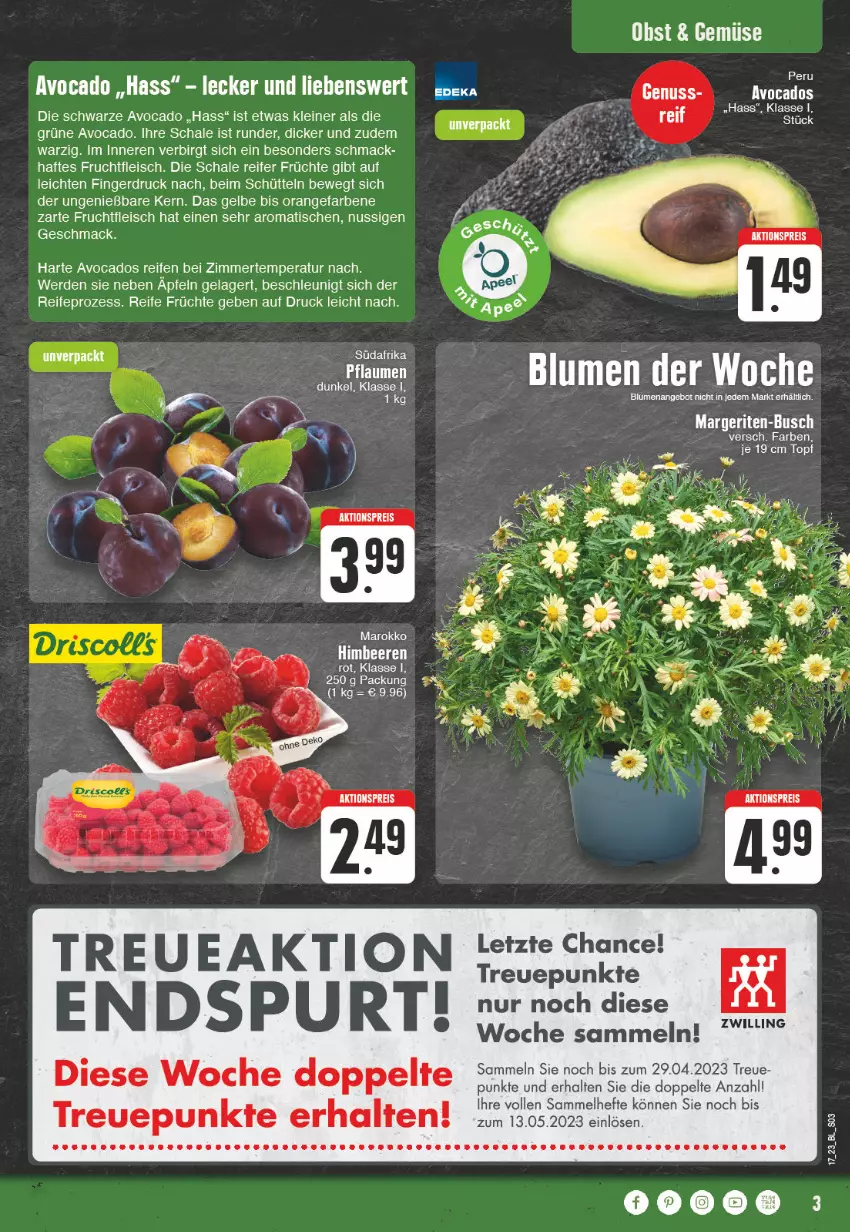 Aktueller Prospekt Edeka - Angebote der Woche - von 24.04 bis 29.04.2023 - strona 3 - produkty: aktionspreis, angebot, apfel, avocado, avocados, blume, blumen, eis, erde, fleisch, frucht, früchte, fruchtfleisch, Hefte, HP, leine, mac, nuss, obst, orange, pflaume, pflaumen, reifen, reis, Schal, Schale, tee, Ti, tisch, topf, uhr, ZTE