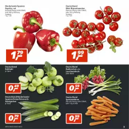 Gazetka promocyjna Real - Gazetka - ważna od 13.08 do 13.08.2022 - strona 3 - produkty: eis, gurke, gurken, kohlrabi, Lauchzwiebel, lauchzwiebeln, mini-rispentomaten, möhren, paprika, radieschen, reis, rispentomaten, salat, Salatgurke, salatgurken, Schal, Schale, speisemöhren, Ti, tomate, tomaten, zwiebel, zwiebeln