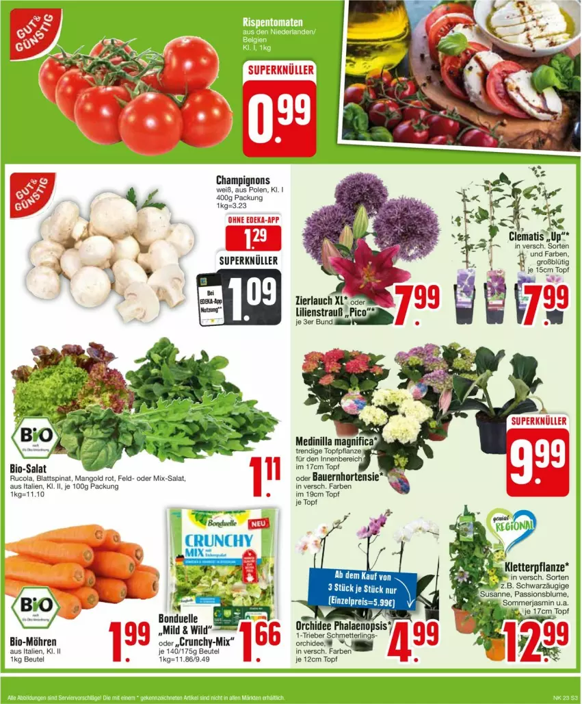 Aktueller Prospekt Edeka - Prospekte - von 03.06 bis 08.06.2024 - strona 3 - produkty: auer, Bau, Bauer, beutel, bio, blattspinat, blume, bonduelle, champignon, champignons, cola, deka, eis, elle, hortensie, möhren, orchidee, pflanze, phalaenopsis, reis, rucola, salat, spinat, Ti, topf, Wild