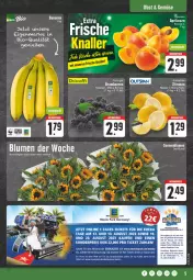 Gazetka promocyjna E Center - Angebote der Woche - Gazetka - ważna od 05.08 do 05.08.2023 - strona 5 - produkty: aktionspreis, angebot, angebote, beere, beeren, bio, blume, blumen, brombeere, brombeeren, deka, eier, eis, obst, reis, Schal, Schale, Ti, zitrone, zitronen, ZTE