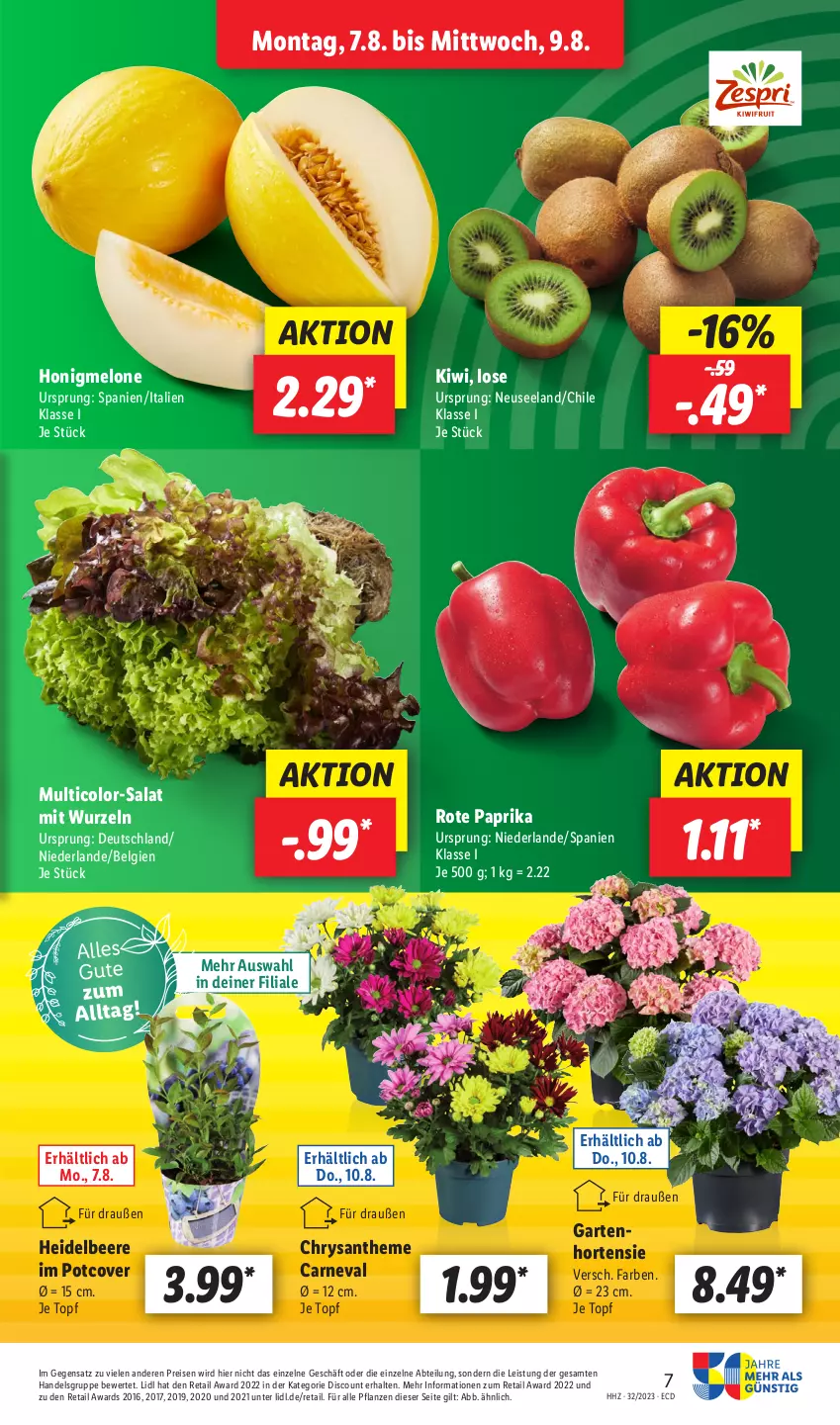 Aktueller Prospekt Lidl - Aktionsprospekt - von 07.08 bis 12.08.2023 - strona 7 - produkty: Abtei, beere, discount, eis, Elan, Garten, heidelbeere, honig, honigmelone, hortensie, kiwi, LG, melone, paprika, pflanze, pflanzen, reis, salat, Ti, topf