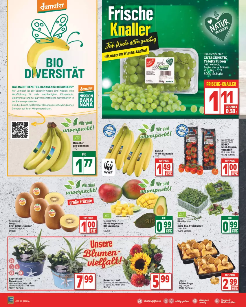 Aktueller Prospekt Edeka - Angebote der Woche - von 15.08 bis 20.08.2022 - strona 6 - produkty: auer, avocado, banane, bananen, Bau, Bauer, bio, cola, deka, Elan, früchte, jumbo, Kalanchoe, kiwi, Kiwi Gold, mac, mango, Pfifferlinge, rucola, salat, Schal, Schale, Ti, zespri, ZTE