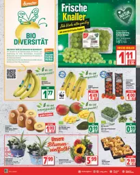 Gazetka promocyjna Edeka - Angebote der Woche - Gazetka - ważna od 20.08 do 20.08.2022 - strona 6 - produkty: auer, avocado, banane, bananen, Bau, Bauer, bio, cola, deka, Elan, früchte, jumbo, Kalanchoe, kiwi, Kiwi Gold, mac, mango, Pfifferlinge, rucola, salat, Schal, Schale, Ti, zespri, ZTE