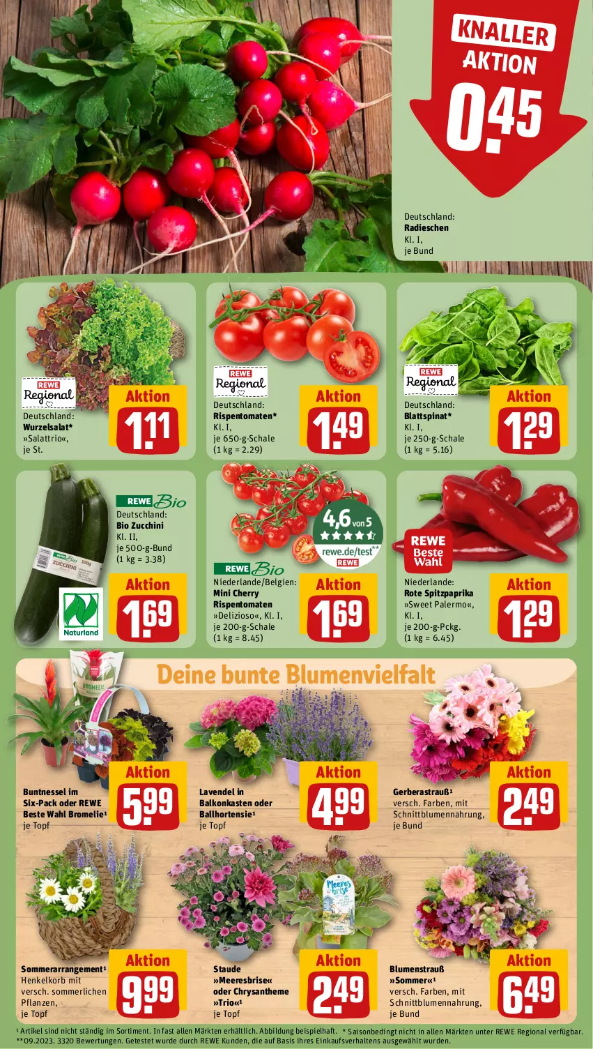 Aktueller Prospekt Rewe - Prospekte - von 01.07 bis 06.07.2024 - strona 7 - produkty: Astra, ball, bio, blattspinat, blume, blumen, Blumenstrauß, Bromelie, eis, Gerber, henkel, hortensie, korb, lavendel, LG, merl, paprika, pflanze, pflanzen, radieschen, rewe beste wahl, rispentomaten, salat, Schal, Schale, spinat, Spitzpaprika, Ti, tomate, tomaten, topf, zucchini